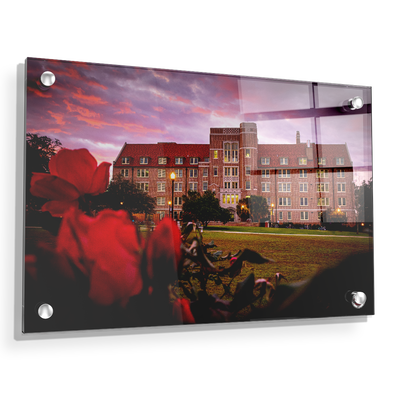 Florida State Seminoles - Red Sunrise Over Landis - College Wall Art #Acrylic
