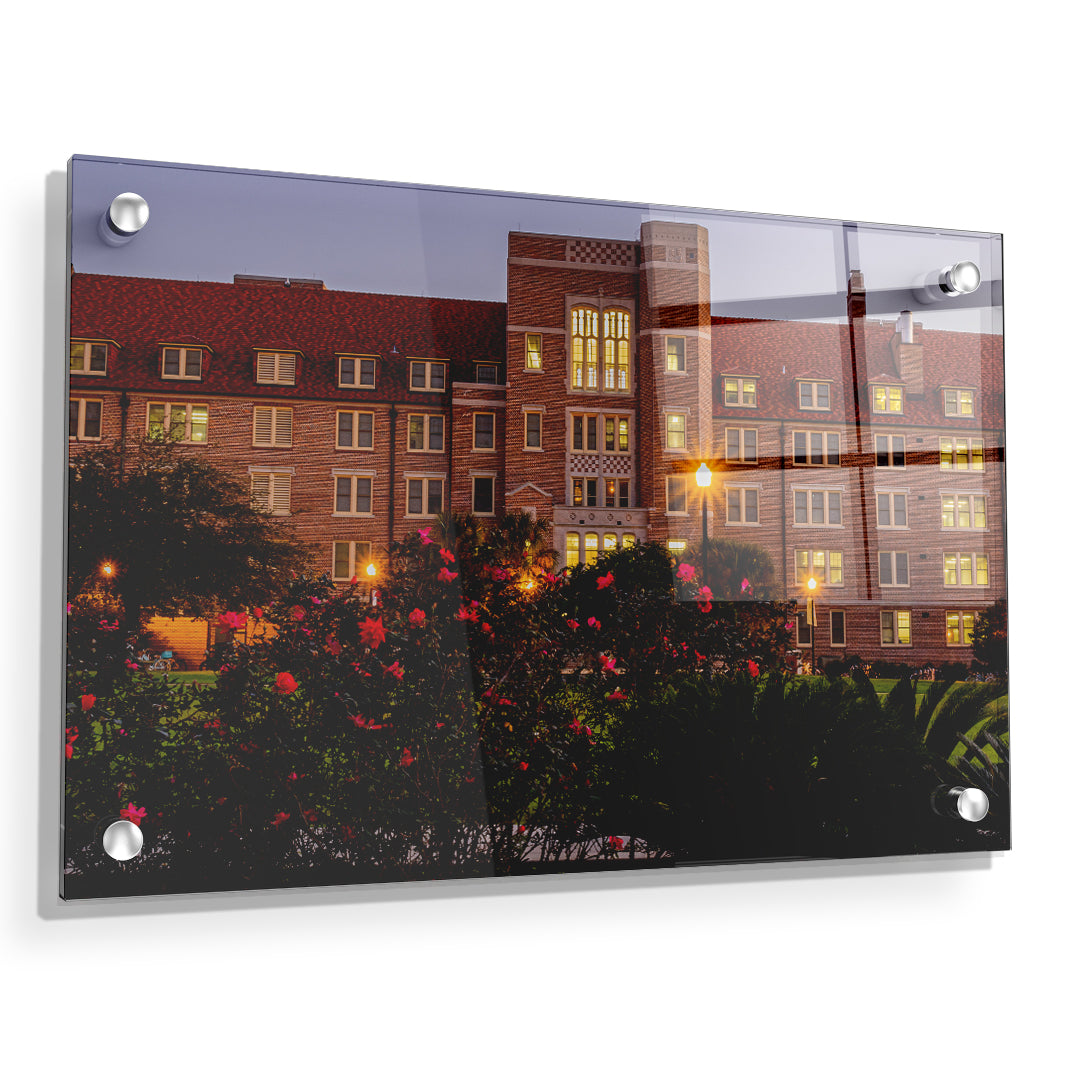 Florida State Seminoles - Landis Last Light -  College Wall Art #Canvas