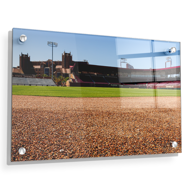 Florida State Seminoles - Spring and Fall - College Wall Art #Acrylic