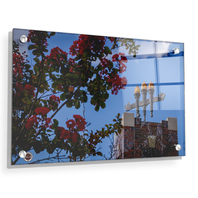 Florida State Seminoles - Red Bloom Torches - College Wall Art #Acrylic