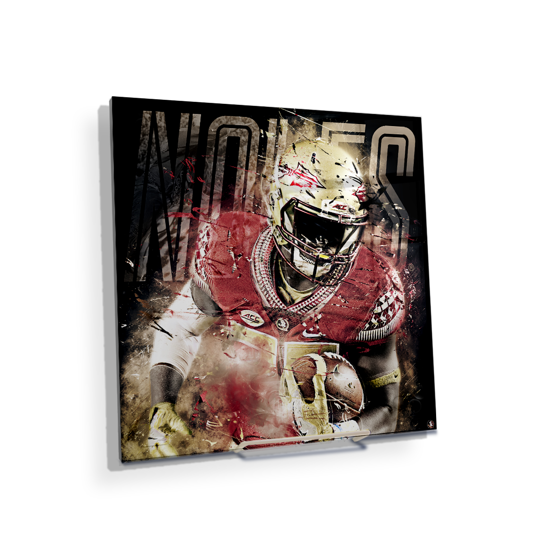Florida State Seminoles - Noles - College Wall Art #Canvas
