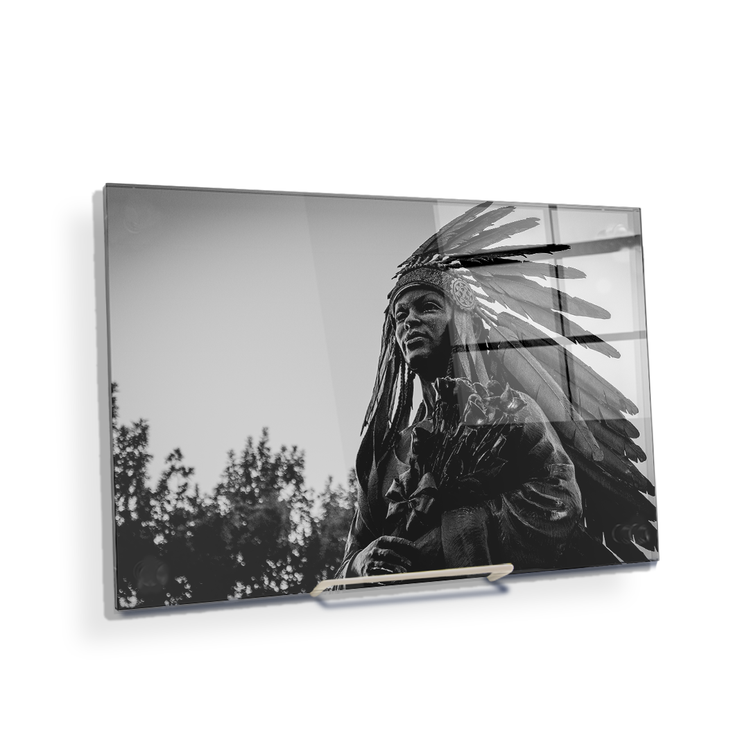 Florida State Seminoles - Integration Statue Seminole - College Wall Art #Canvas