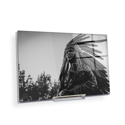 Florida State Seminoles - Integration Statue Seminole - College Wall Art #Acrylic  MIni