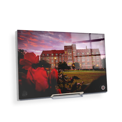 Florida State Seminoles - Red Sunrise Over Landis - College Wall Art #Acrylic  Mini