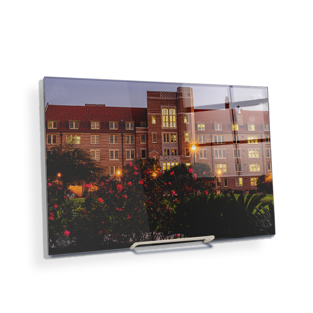 Florida State Seminoles - Landis Last Light -  College Wall Art #Canvas