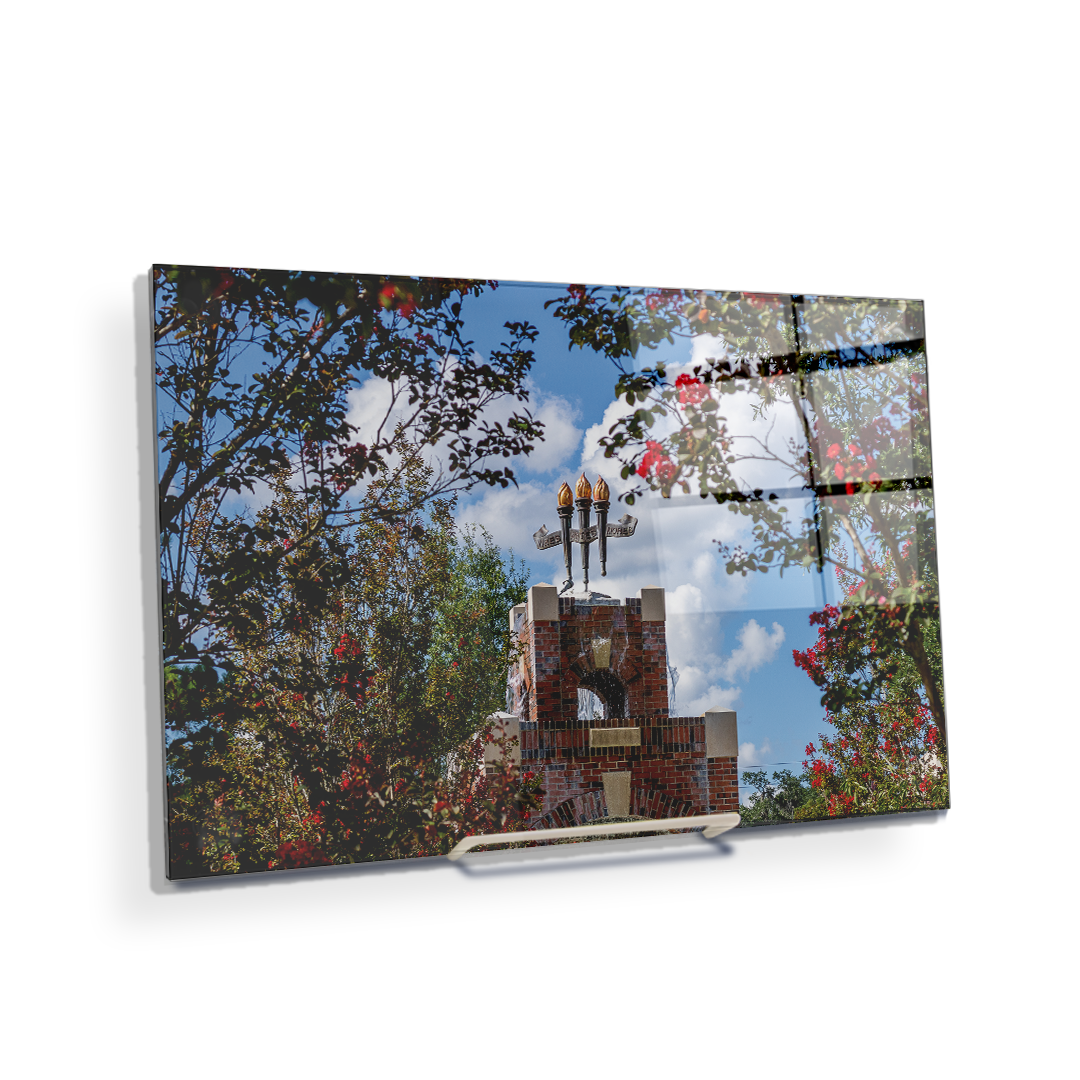 Florida State Seminoles - Red Bloom Framed Torches - College Wall Art #Canvas