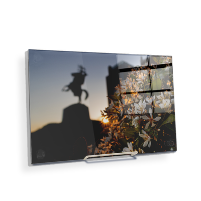 Florida State Seminoles - Unconquered Sunset - College Wall Art #Acrylic Mini