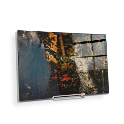 Florida State Seminoles - Legacy Fountain Splash - College Wall Art #Acrylic Mini