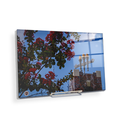 Florida State Seminoles - Red Bloom Torches - College Wall Art #Acrylic Mini