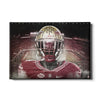 Florida State Seminoles - Seminole - College Wall Art #Canvas