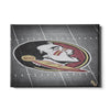 Florida State Seminoles - 50 Yard Line - College Wall Art #Canvas