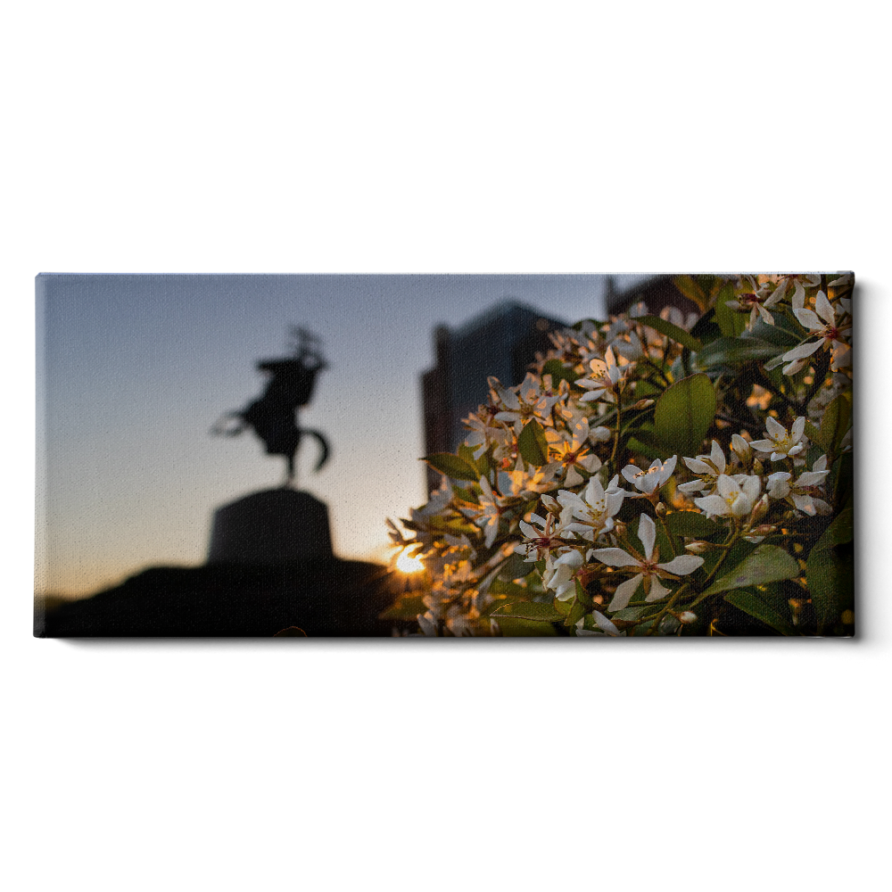 Florida State Seminoles - Unconquered Sunset Pano - College Wall Art #Canvas