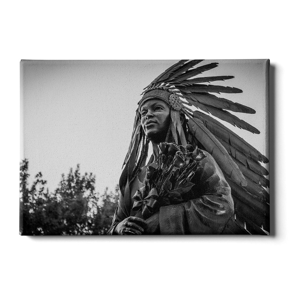Florida State Seminoles - Integration Statue Seminole - College Wall Art #Canvas