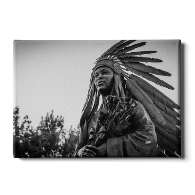 Florida State Seminoles - Integration Statue Seminole - College Wall Art #Canvas