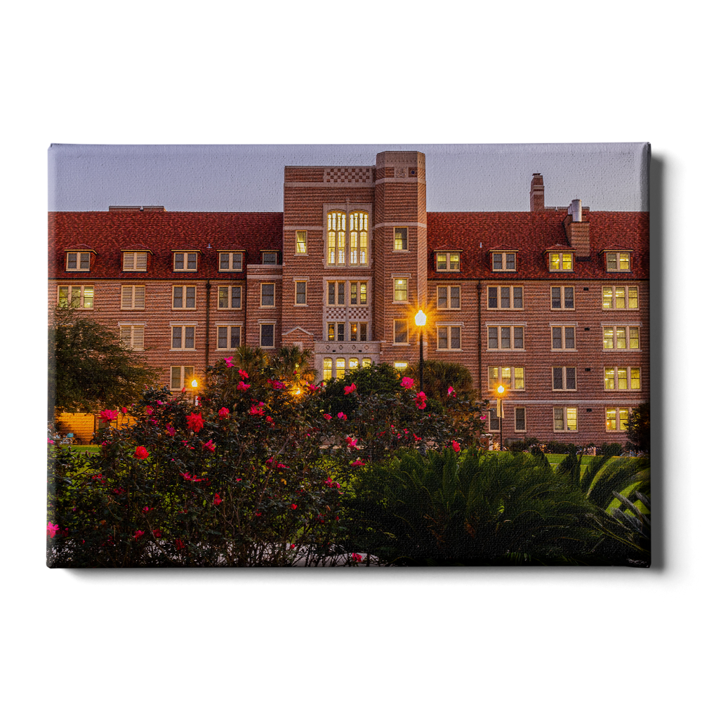 Florida State Seminoles - Landis Last Light -  College Wall Art #Canvas