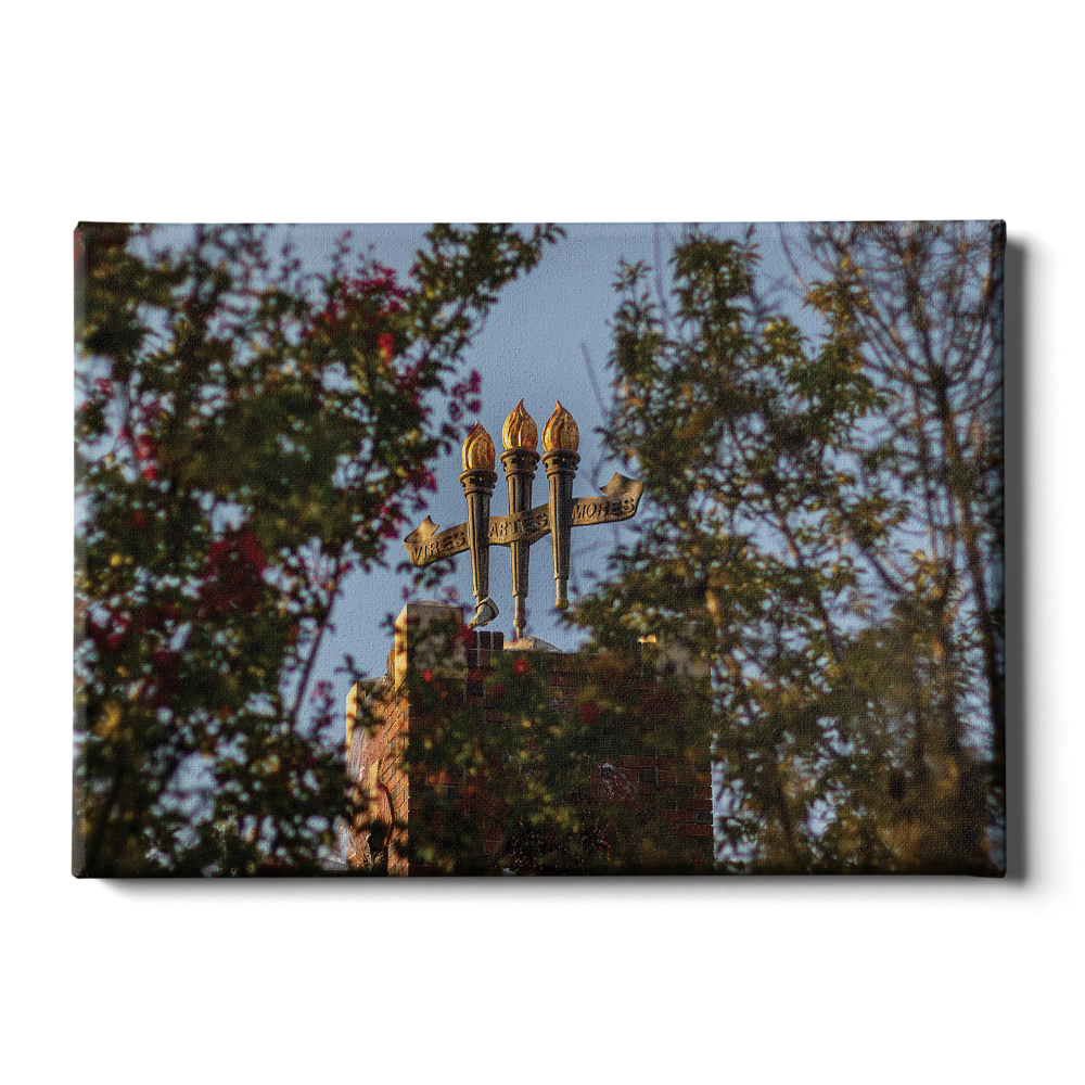 Florida State Seminoles - Framed Torches Close-up - College Wall Art #Canvas