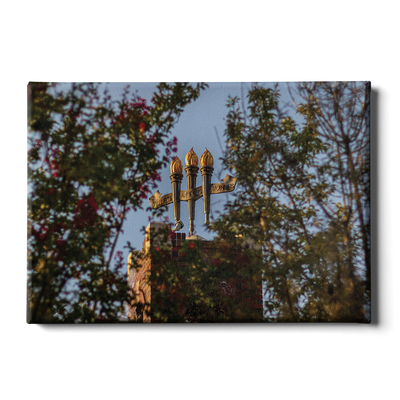 Florida State Seminoles - Framed Torches Close-up - College Wall Art #Canvas