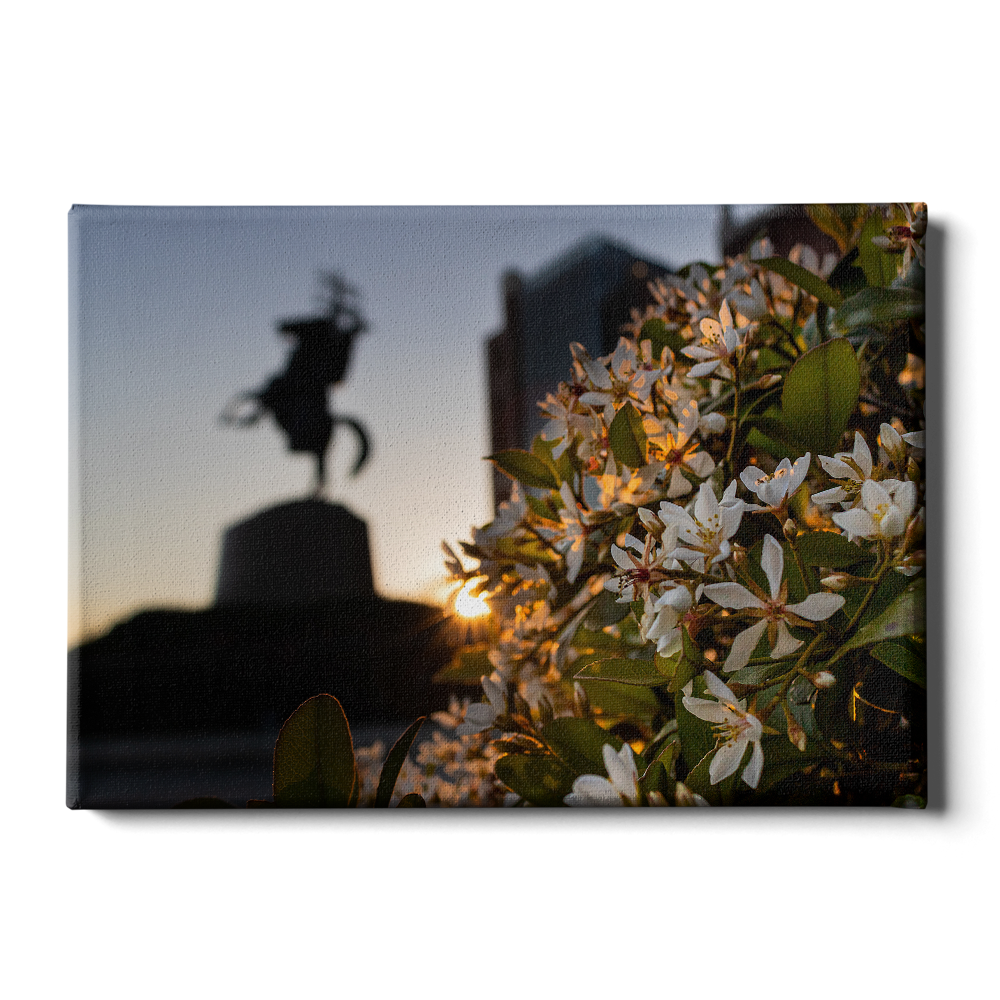 Florida State Seminoles - Unconquered Sunset - College Wall Art #Canvas