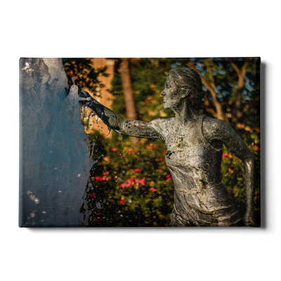 Florida State Seminoles - Legacy Fountain Splash - College Wall Art #Canvas