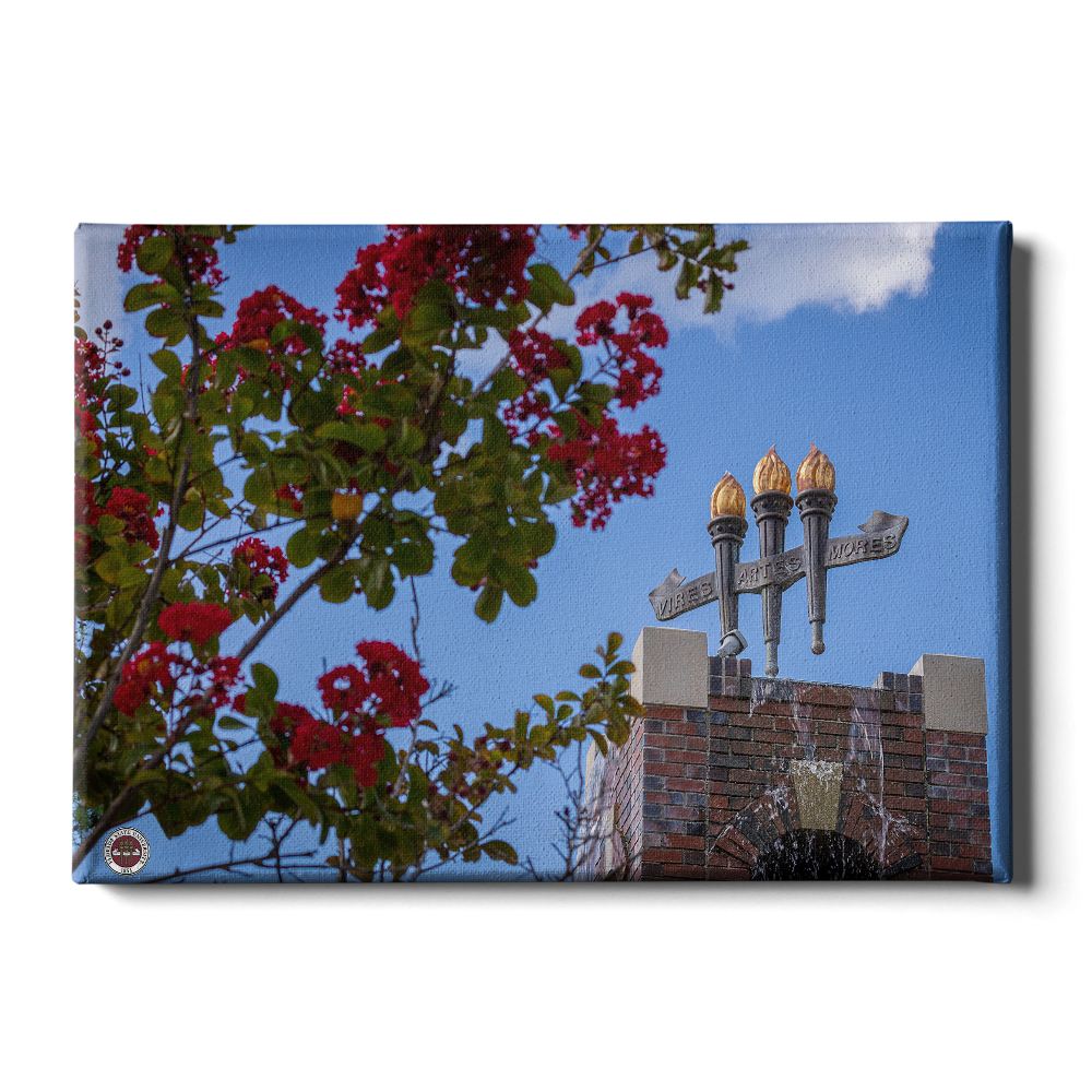 Florida State Seminoles - Red Bloom Torches - College Wall Art #Canvas