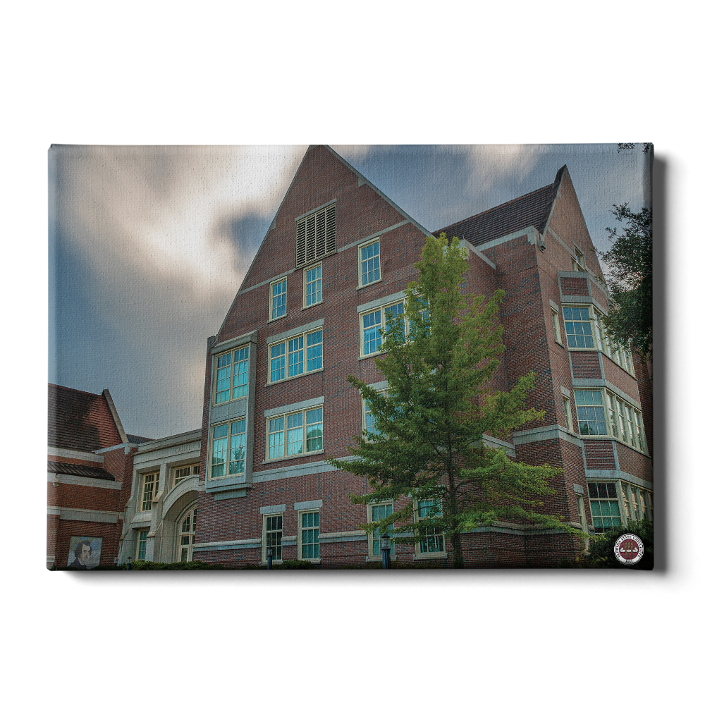 Florida State Seminoles - College of Medicine - College Wall Art #Canvas