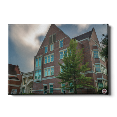 Florida State Seminoles - College of Medicine - College Wall Art #Canvas