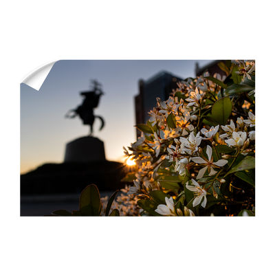 Florida State Seminoles - Unconquered Sunset - College Wall Art #Wall Decal