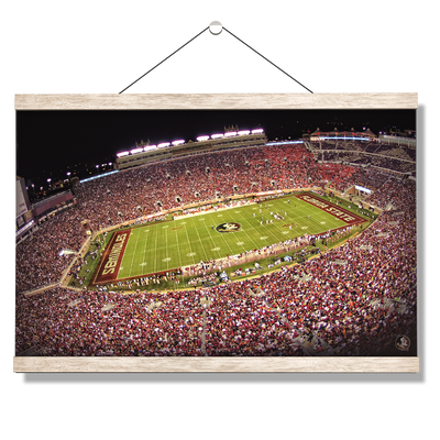 Florida State Seminoles - Doak - College Wall Art #Hanging Canvas