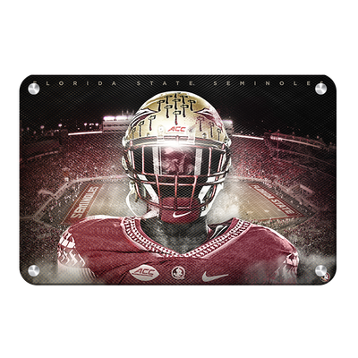 Florida State Seminoles - Seminole - College Wall Art #Metal