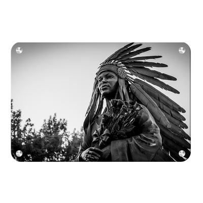 Florida State Seminoles - Integration Statue Seminole - College Wall Art #Metal