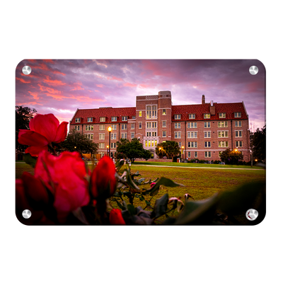 Florida State Seminoles - Red Sunrise Over Landis - College Wall Art #Metal