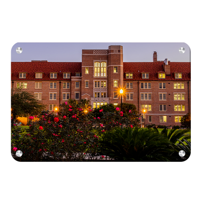 Florida State Seminoles - Landis Last Light - College Wall Art #Metal