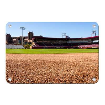 Florida State Seminoles - Spring and Fall - College Wall Art #Metal