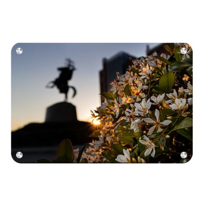 Florida State Seminoles - Unconquered Sunset - College Wall Art #Metal