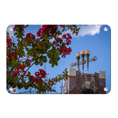 Florida State Seminoles - Red Bloom Torches - College Wall Art #Metal