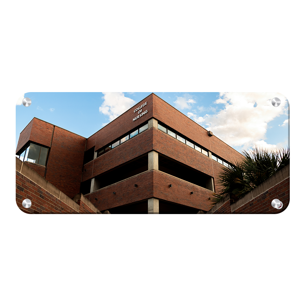 Florida State Seminoles - College of Nursing Pano - College Wall Art #Canvas