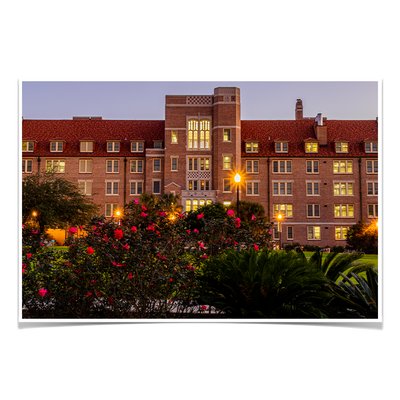 Florida State Seminoles - Landis Last Light - College Wall Art #Poster