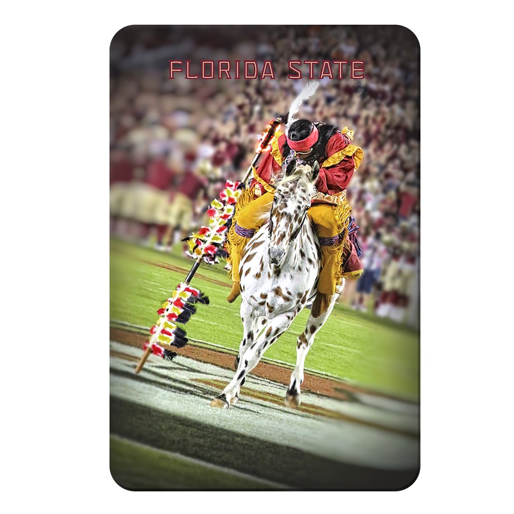 Florida State Seminoles - Florida State Osceola Spear - College Wall Art #Canvas