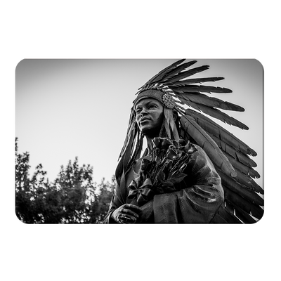Florida State Seminoles - Integration Statue Seminole - College Wall Art #PVC