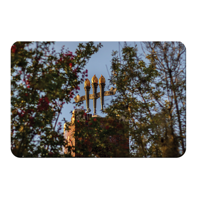 Florida State Seminoles - Framed Torches Close-up - College Wall Art #PVC