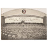 Florida State Seminoles - Sod Cemetery - College Wall Art #Wood