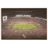 Florida State Seminoles - Unconquered Stadium - College Wall Art #Wood