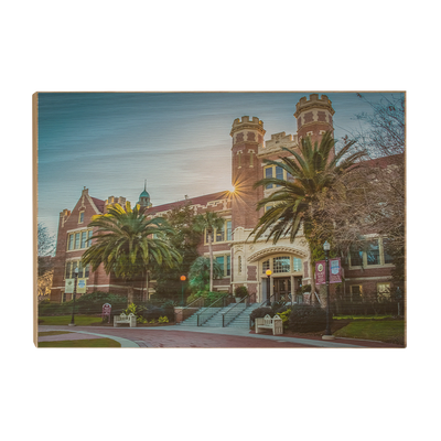 Florida State Seminoles - Westcott Starburst -College Wall Art #Wood