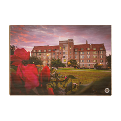 Florida State Seminoles - Red Sunrise Over Landis - College Wall Art #Wood