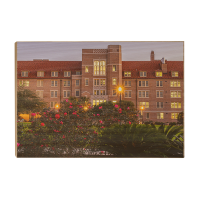 Florida State Seminoles - Landis Last Light - College Wall Art #Wood