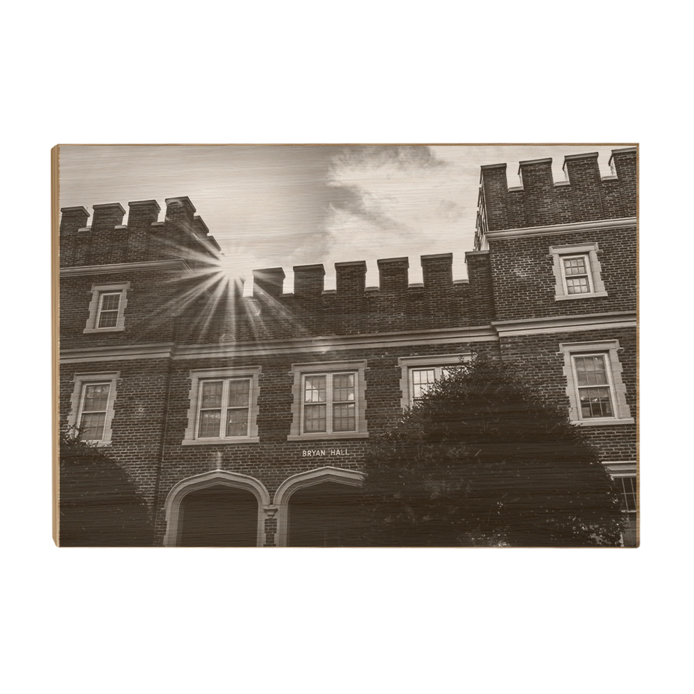 Florida State Seminoles - Bryan Hall - College Wall Art #Canvas