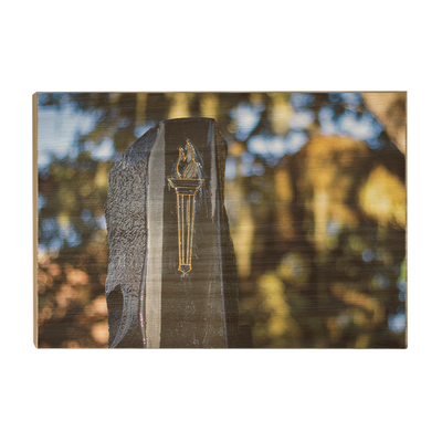 Florida State Seminoles - Hidden Fountain -College Wall Art #Wood