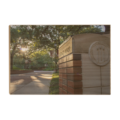 Florida State Seminoles - Legacy Walk Sunrise - College Wall Art #Wood