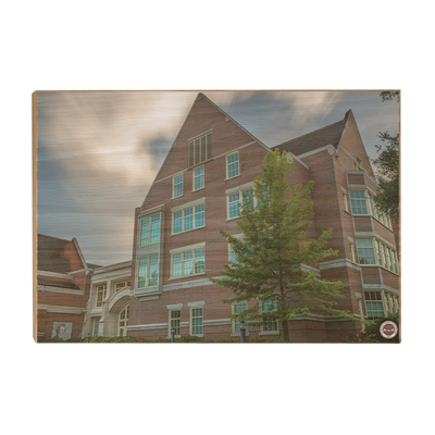 Florida State Seminoles - College of Medicine - College Wall Art #Wood