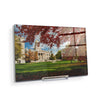 Iowa Hawkeyes - Fall Campus - College Wall Art #Acrylic Mini